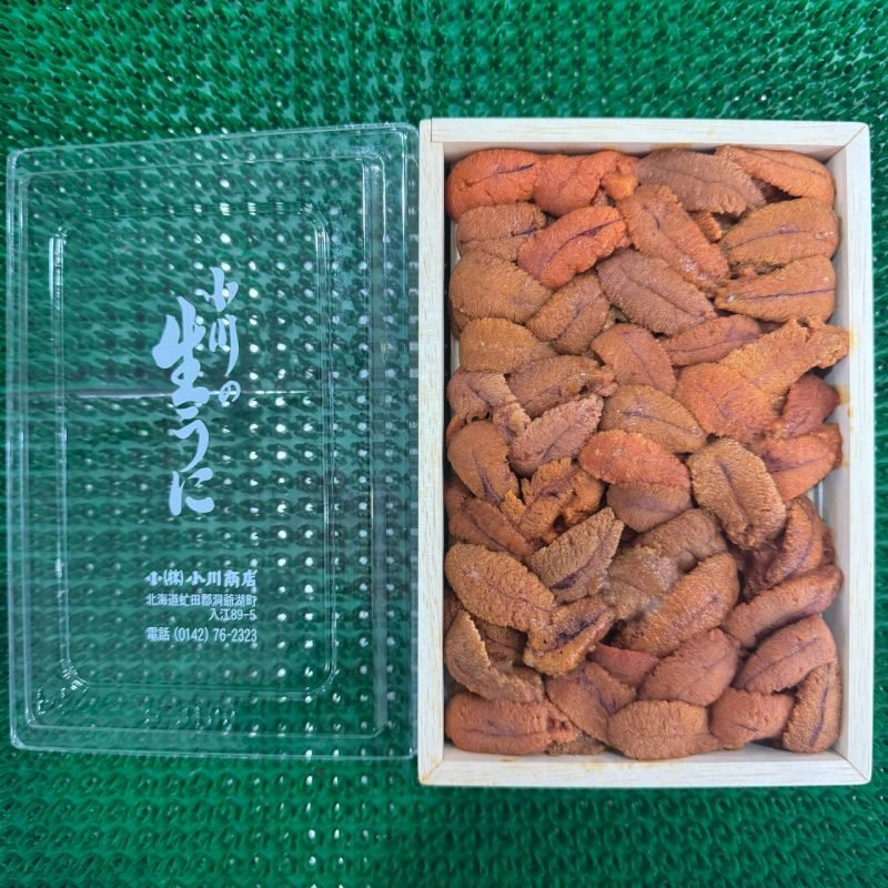 Hokkaido S.P Grade Red Bafun Bara Uni (250g) – Oosterbay