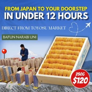 [JAPAN AIR-FLOWN] Toyosu Auction-Grade Bafun Narabi Uni (250g)