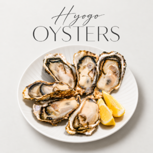Fresh Hyogo Oyster Sashimi