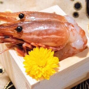 Botan Ebi Sashimi
