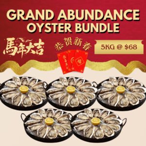 [CNY] Grand Abundance Miyagi Oyster Sashimi Bundle (5kg)