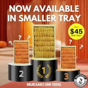 [3 TRAYS FOR $120] Grade AAA Murasaki Narabi Uni (100g)