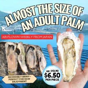 XL Miyagi Oyster Sashimi