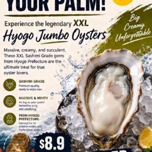 XXL JUMBO Hyogo Oyster Sashimi