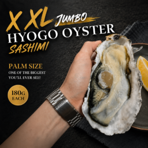 XXL JUMBO Hyogo Oyster Sashimi