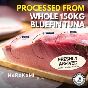 Fresh Japanese Bluefin Harakami Tuna (Akami 赤身 / Chutoro 中トロ / Otoro 大トロ)