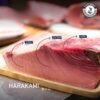 Fresh Japanese Bluefin Harakami Tuna (Akami 赤身 / Chutoro 中トロ / Otoro 大トロ)