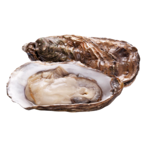 Shellfish