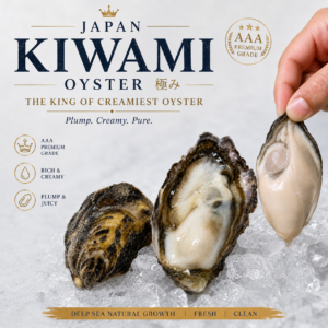 Japan Kiwami Oyster (極み)