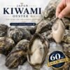 Japan Kiwami Oyster (極み) - 60pc